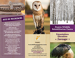 Educational Shows Brochure - French